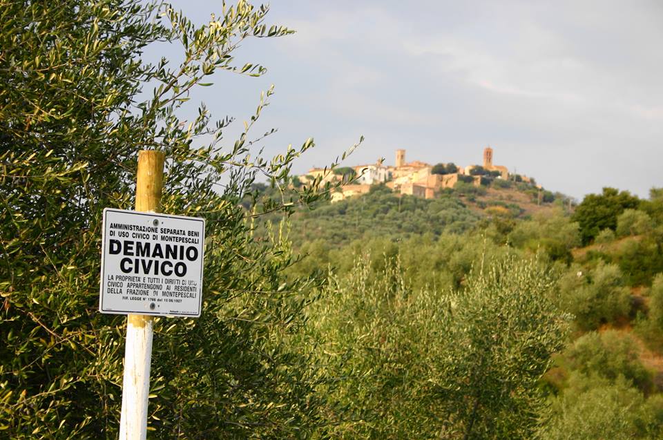 demaniocivico2014 n